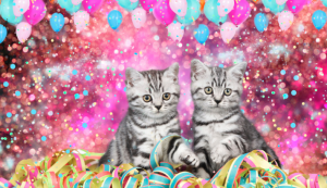 Backdrop with Balloons and Streamers