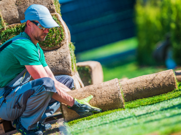 How to Lay Turf