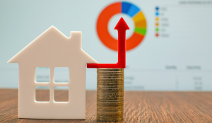 Is Koyo a real business