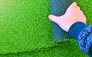 Things to Think about while Purchasing Grass