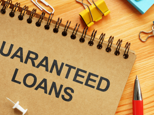 guaranteed loans