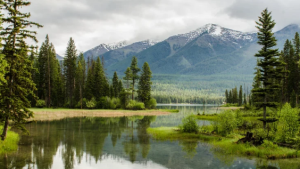 Harmonize with Nature