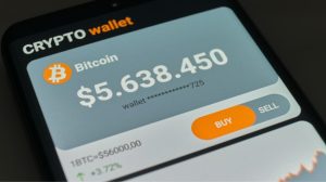 Choose a Secure Wallet