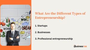 What Are the Different Types of Entrepreneurship