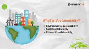 What is Sustainability