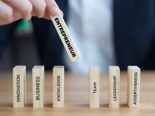 what is the role of entrepreneur