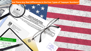 Are There Any Real Differences in the Four Types of Taxpayer Numbers