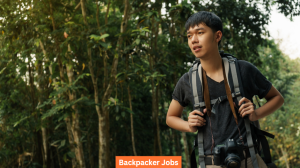 Backpacker Jobs