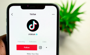 Become a TikTok Consultant