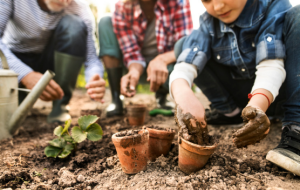 Gardening