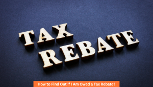 How to Find Out if I Am Owed a Tax Rebate