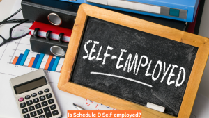 Is Schedule D Self-employed
