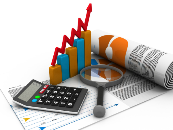 how does the finance department help a business