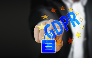 what measures must processors take in order to protect the privacy of individuals