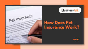 How Does Pet Insurance Work