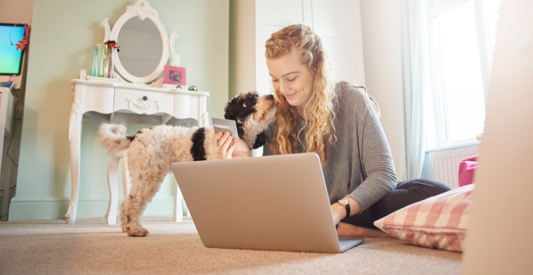 Top 10 Pet Insurance UK - Advice for Pet Lovers