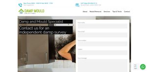 Damp and Mould Solutions