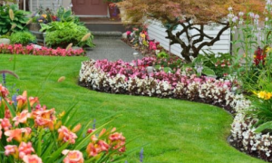 Landscape Your Gardens, Front And Back