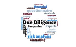 Due Diligence
