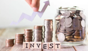 What is the EIS, and how can it work for Investors