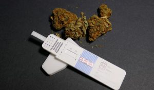 Implementing a balanced approach 