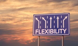Flexibility in the Face of Change 