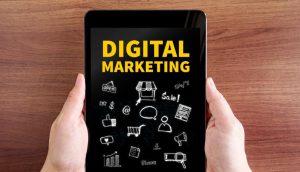 skills useful for ecommerce business - Digital Marketing Proficiency