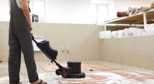 Long-term Carpet Care