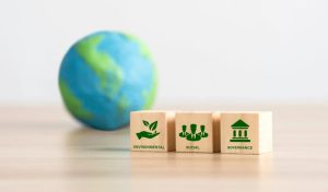Sustainability Considerations