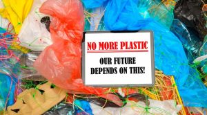 Less Plastic, More Intention