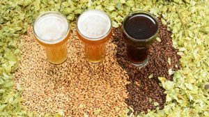 Exploring the World of Home Brewing