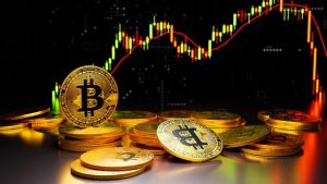 Lessons from International Competitors