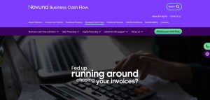 NovunaBusiness Cash Flow